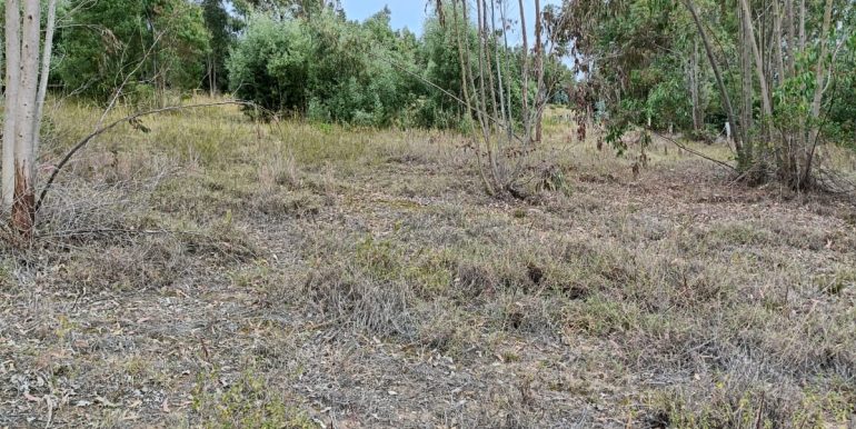 WhatsApp Image 2025-10-15 at 12.27.14 AM (2)