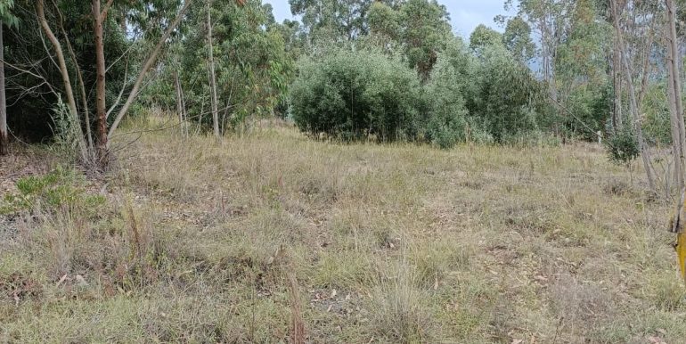 WhatsApp Image 2025-10-15 at 12.27.14 AM